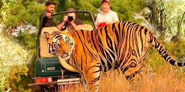 Panna Wildlife Tour